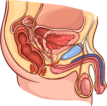 medicament pentru prostatită suplimente alimentare prostata ingrossata sintomi